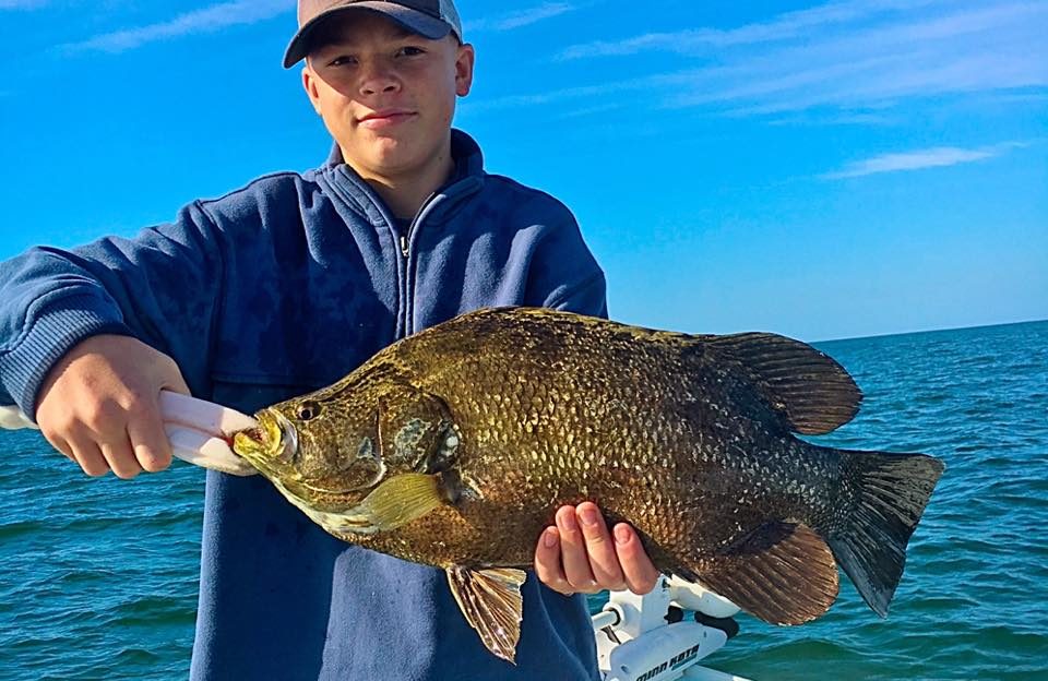 Trippletail Fishing in Fort Myers