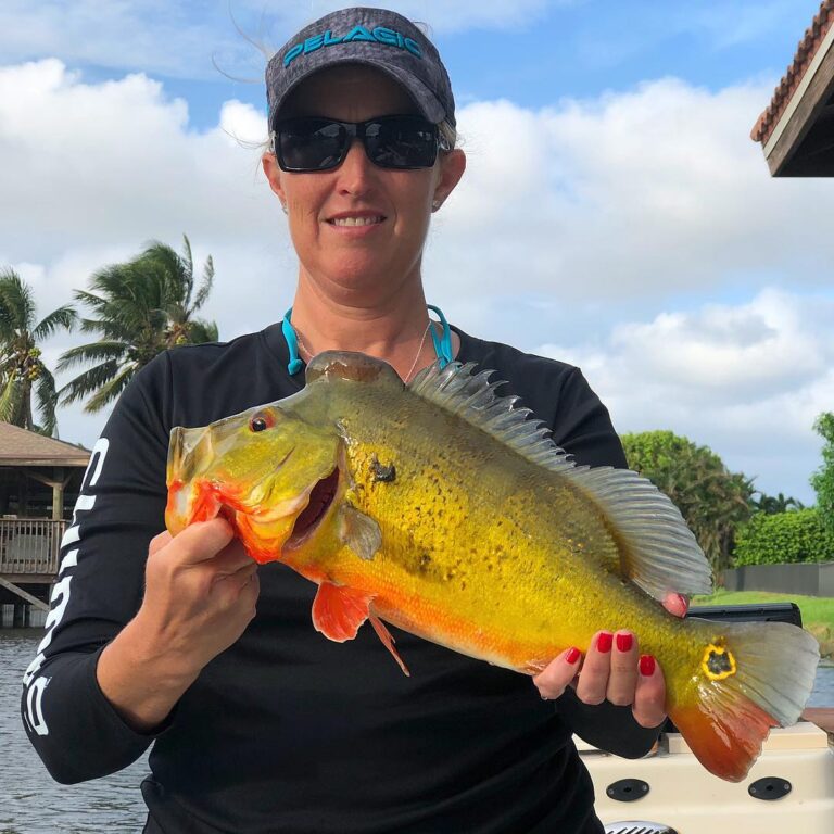 Palm Beach Peacock Bassin’