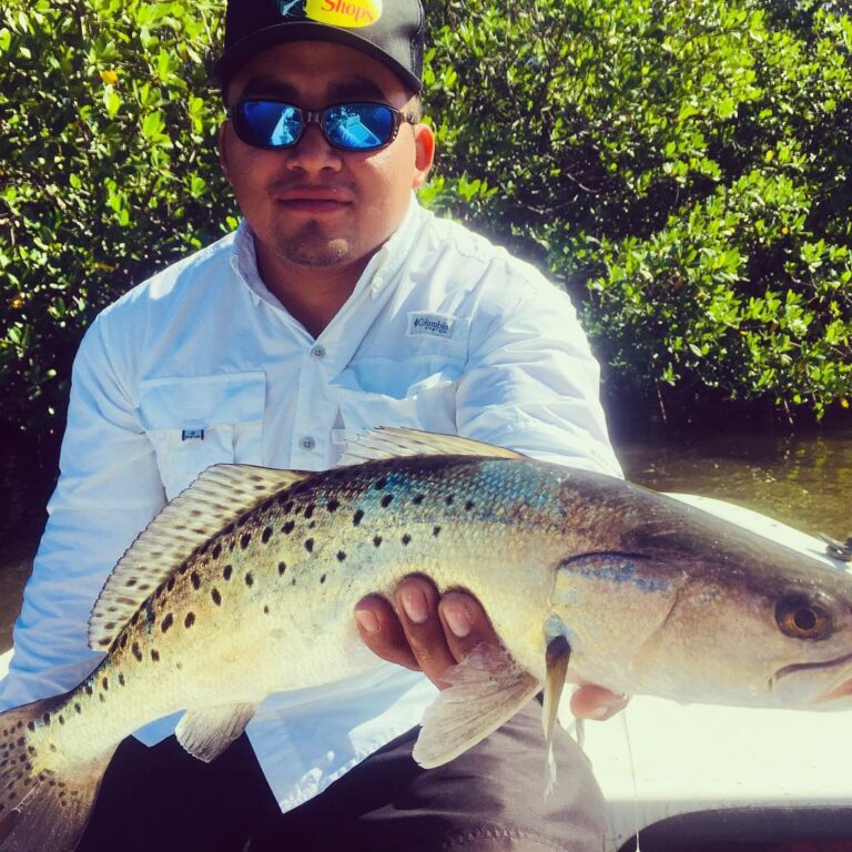 First sea trout