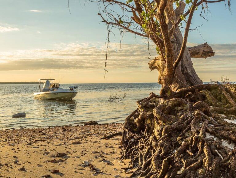 Coastal Everglades Skiff Life