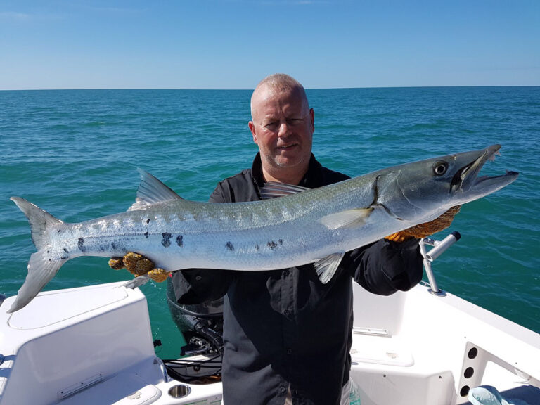 Barracuda fishing Florida