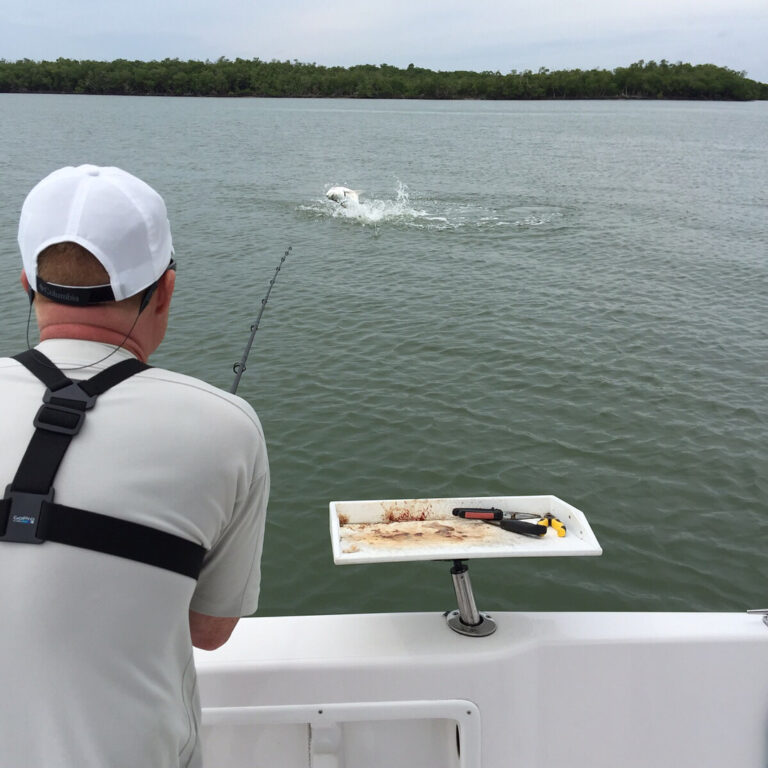 Patrick with a huge tarpon on a spinning rod …