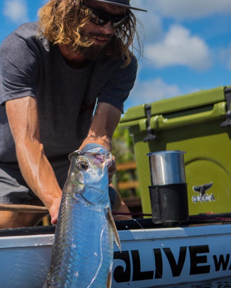 Back country tarpon on fly