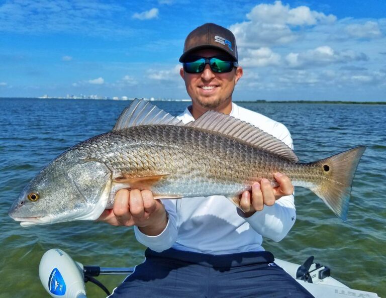 Good day of sight fishing #redfish