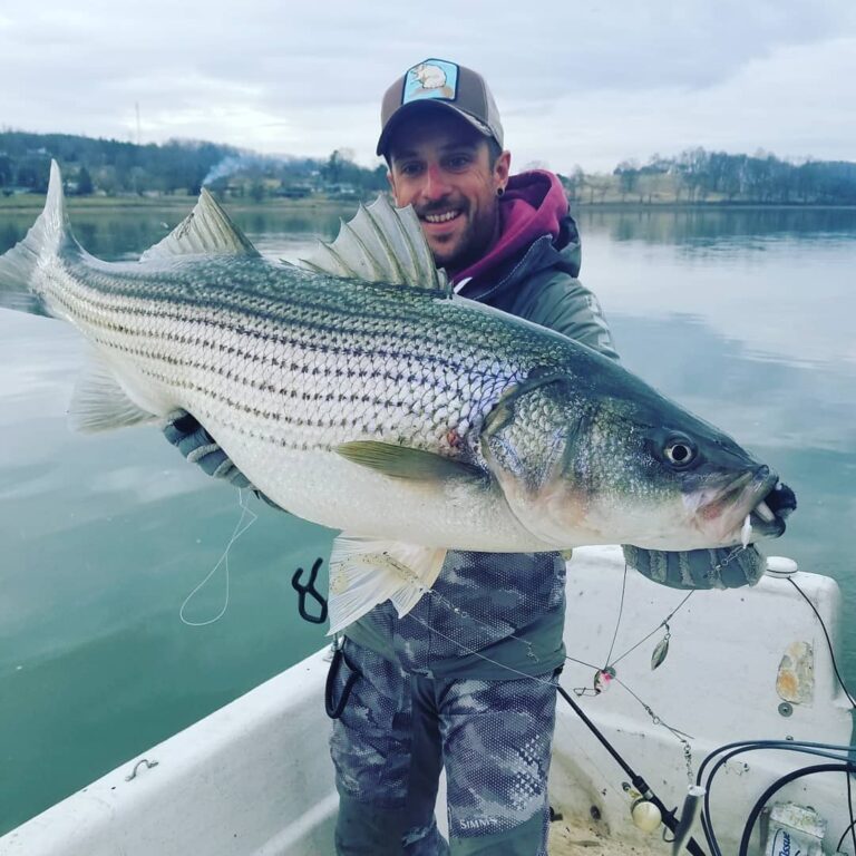 The big Striper are feeding right now!!