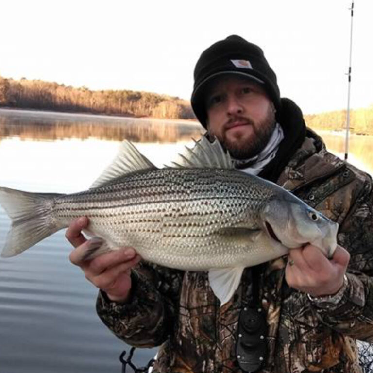 Put 15 in the boat in Lake Hartwell!