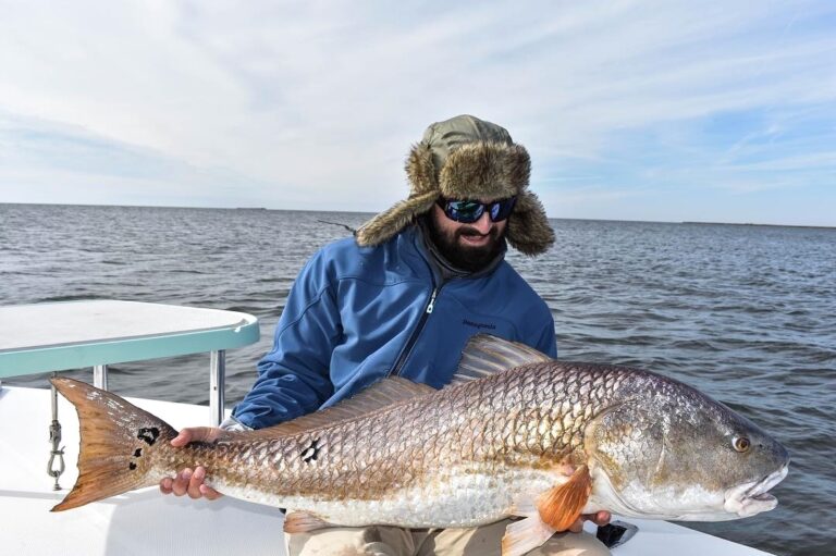 Big Lousiana redfish