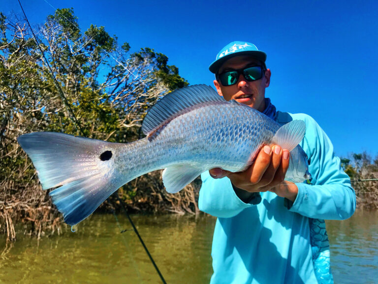 One Fish Two Fish Redfish Bluefish