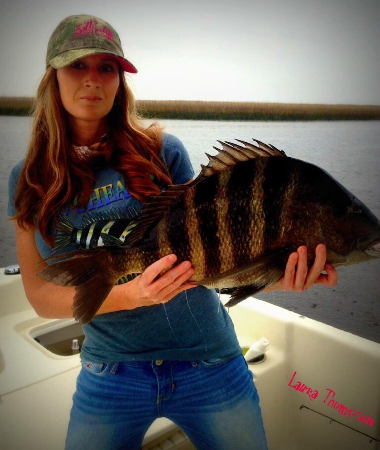 Monster Sheepshead!