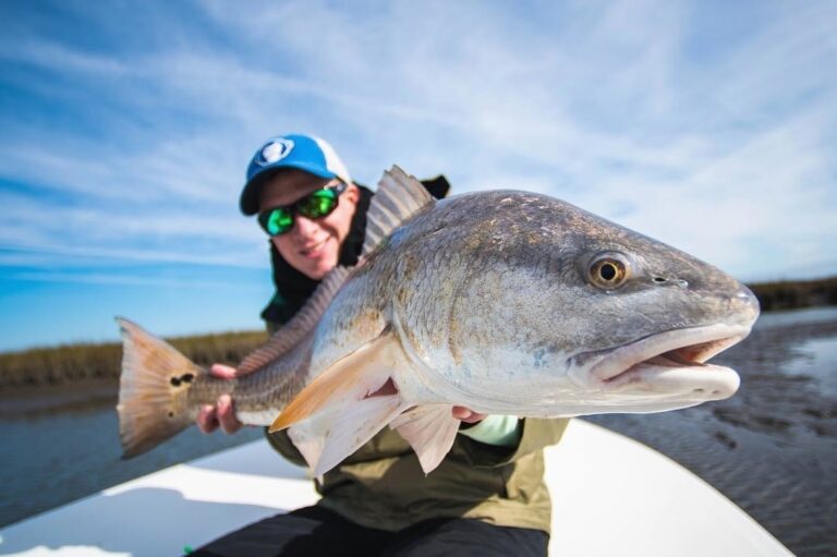 Big ole Marsh Donkey Redfish