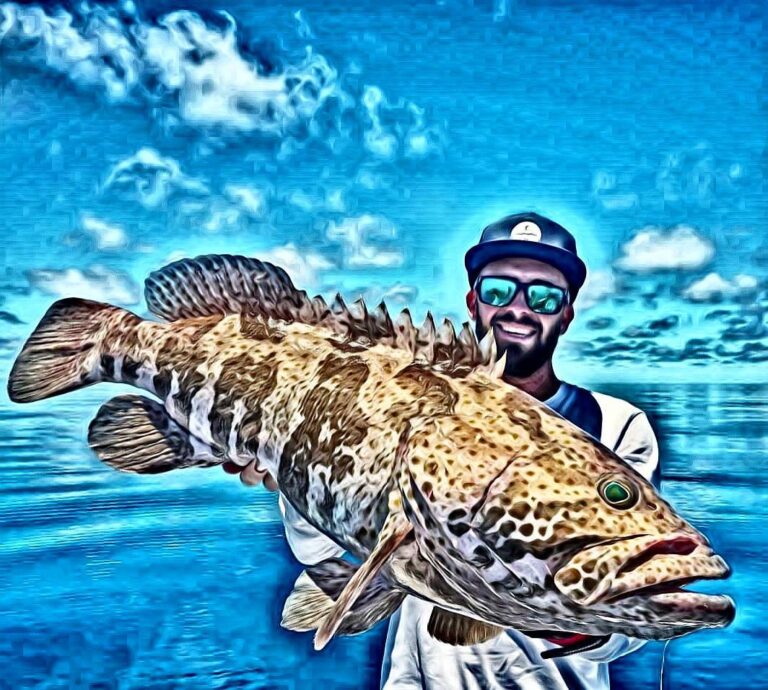 Skinny water Grouper