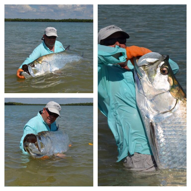 Tarpon A Bucket List Fish