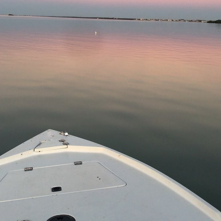 Epic Day chasing sailfish in the skiff