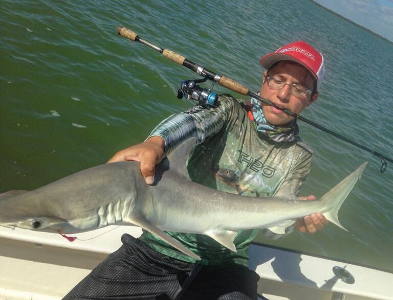 Sightfishing Shark