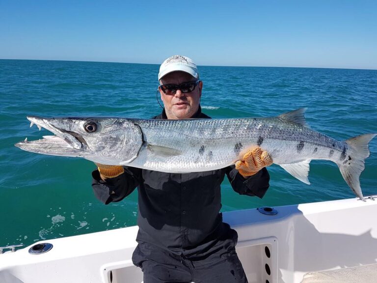 Barracuda fishing