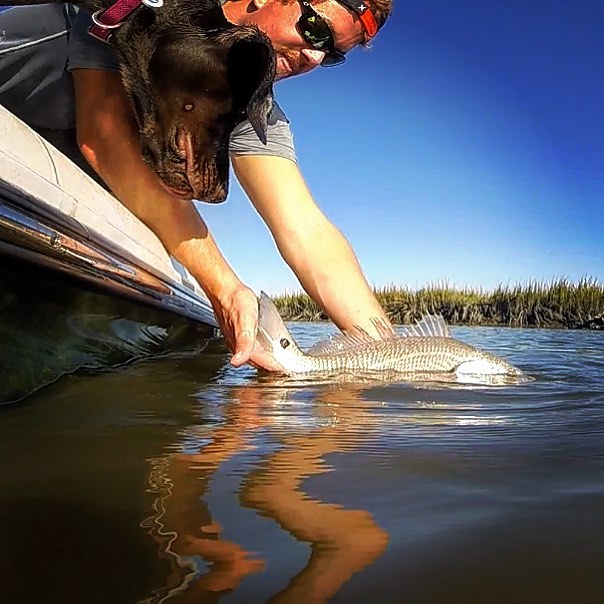 Sunny Days, Puppers & Redfish