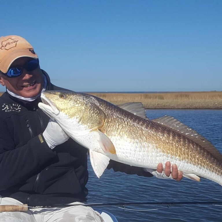 First Louisiana bull redfish