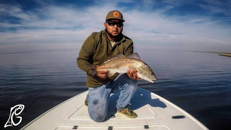 Redfish Gold Found!