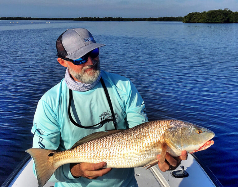 Found a few big redfish today.