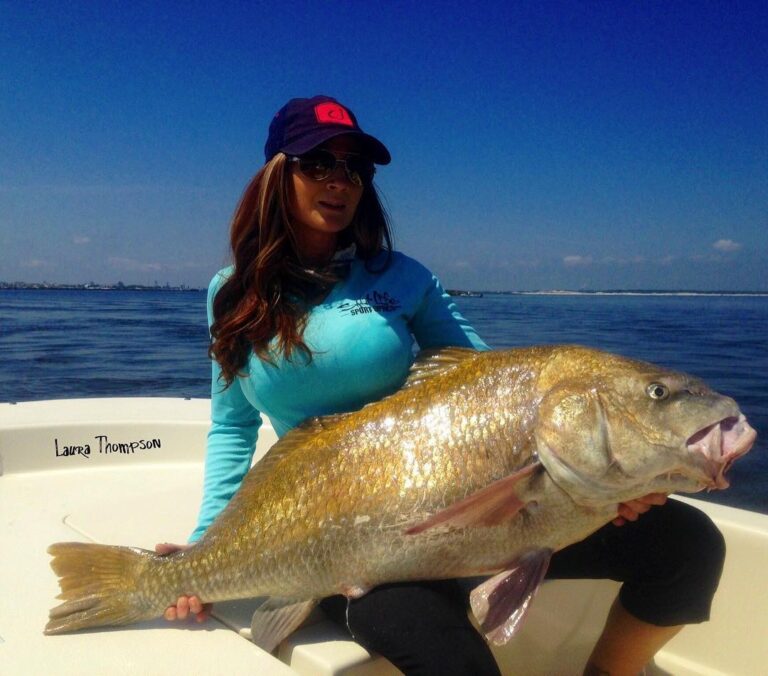 Big ole’ Black Drum