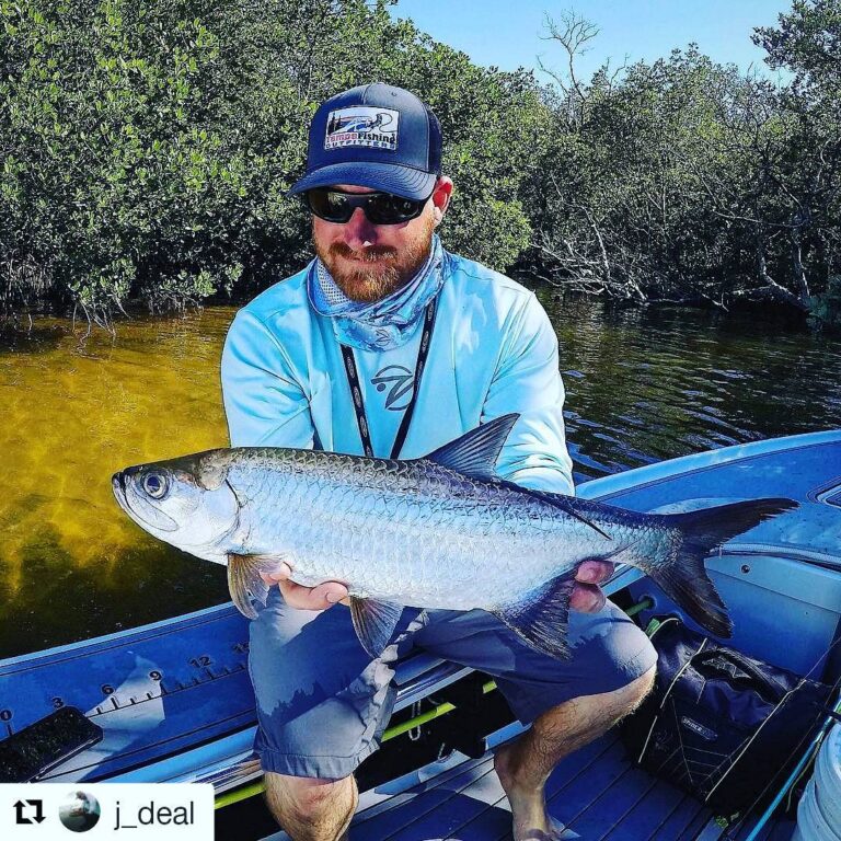 Juvi Tarpon are fun