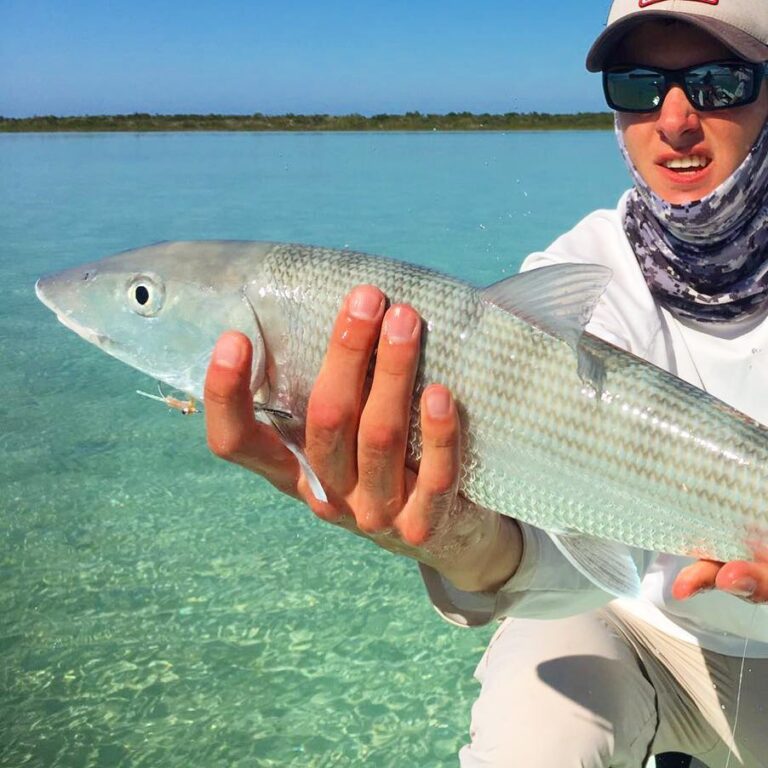 Handsome Long Island Bonefish!                …