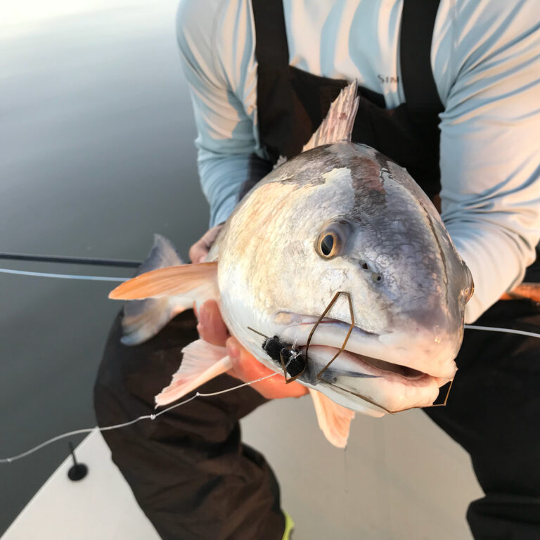 Redfish sundown session