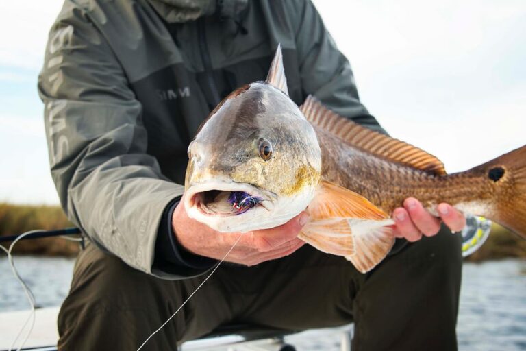 Killer Redfish Shot