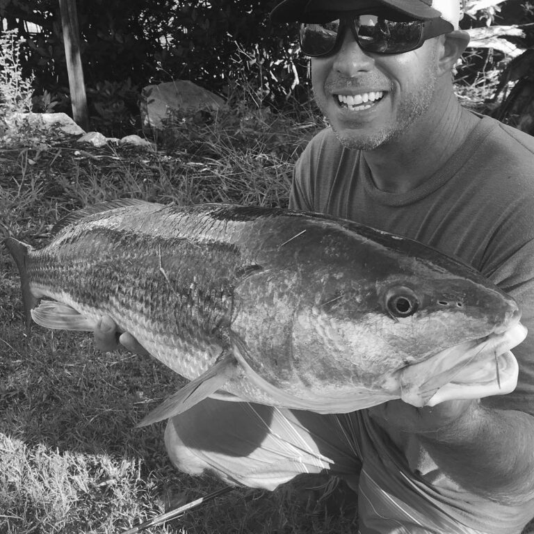 Yozuri caught Redfish