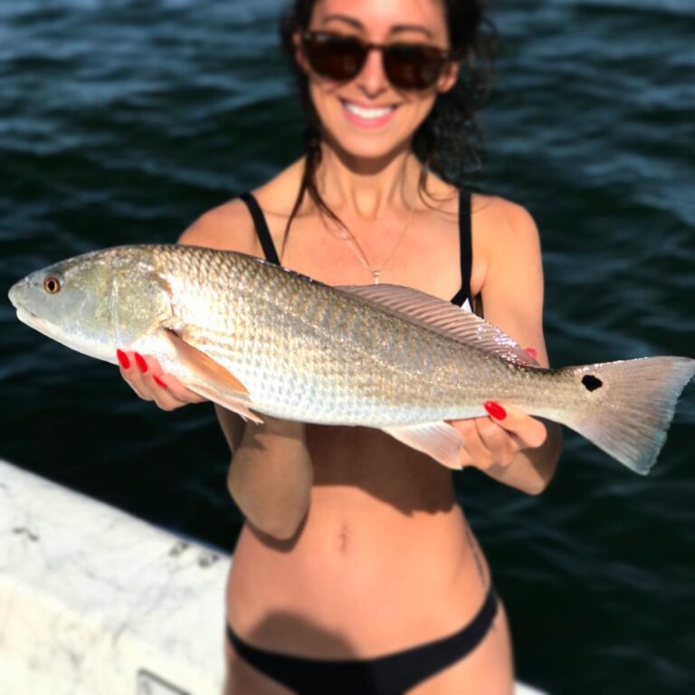 Gorgeous Blue Tail Redfish