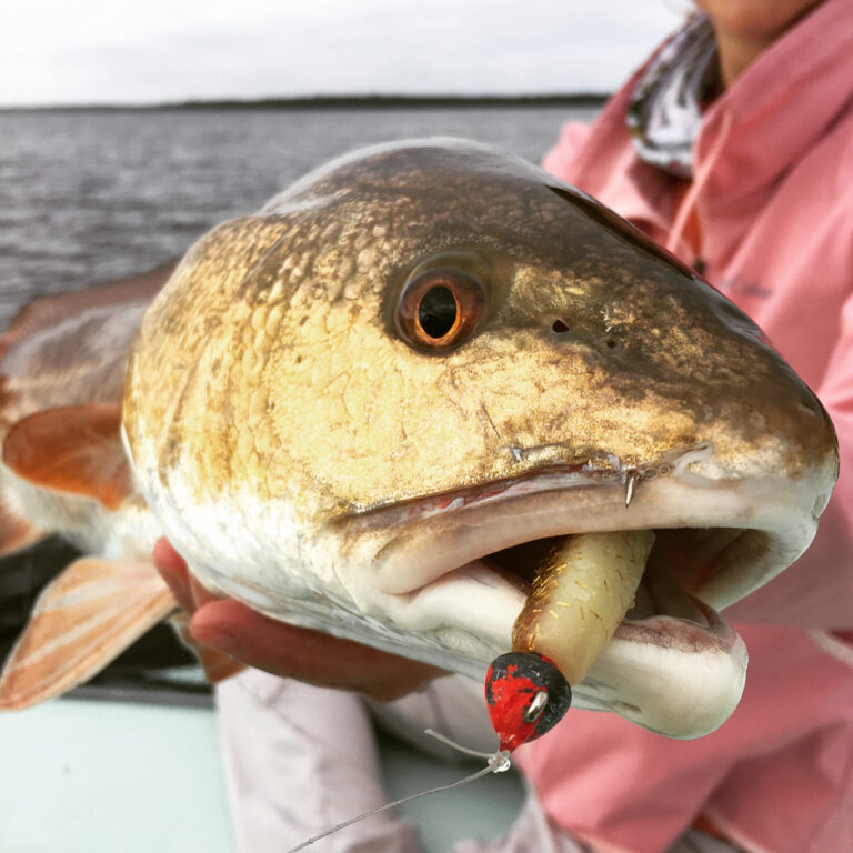 Nose Piercings are FREE to Redfish