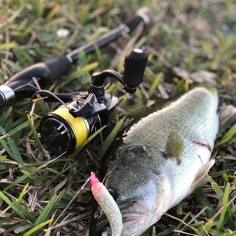 Bass Fishing, Nothing better!