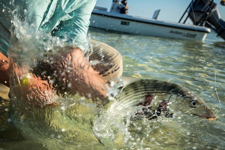 Bonefish Splash & Release