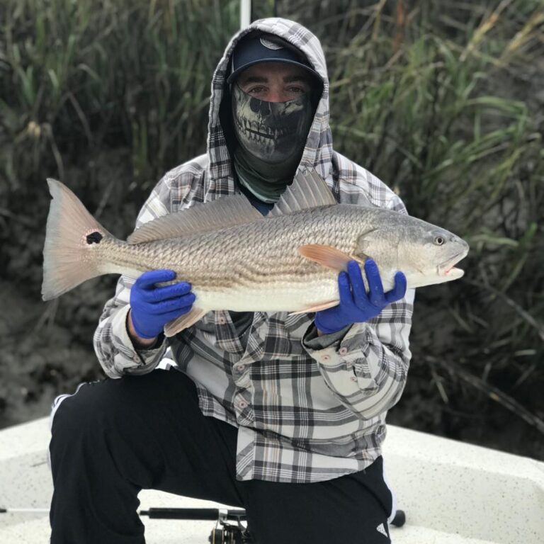 Marsh Donkey = Redfish