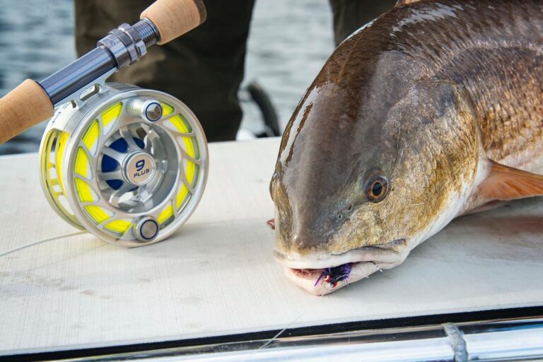 Redfish can’t resist this fly!