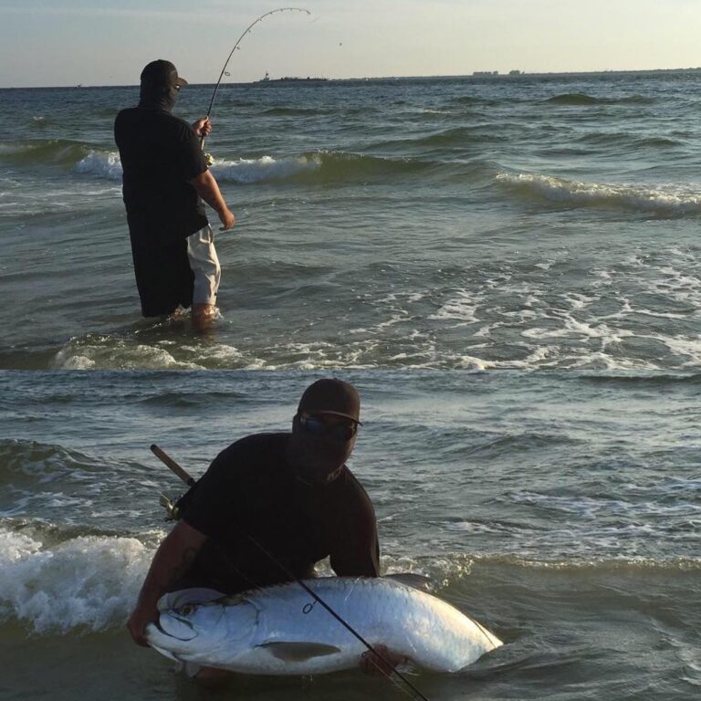 Tarpon fishing Fort Desoto