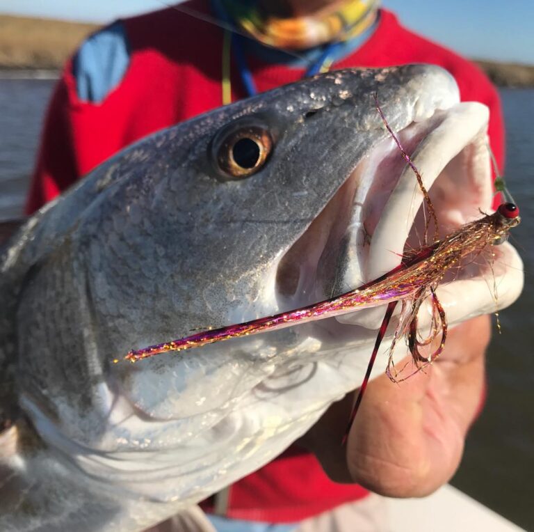 “Terminator” fly, irresistible to marsh redfish!…  …