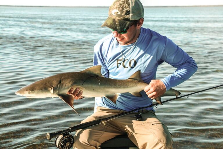 Everglades catching sharks on fly