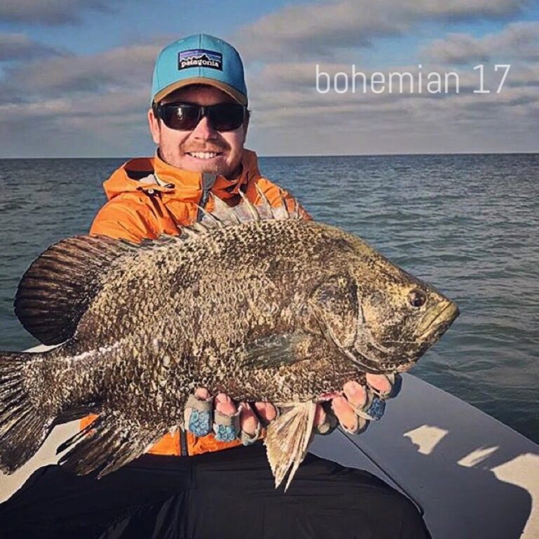 Tripletail caught on the Bohemian 17