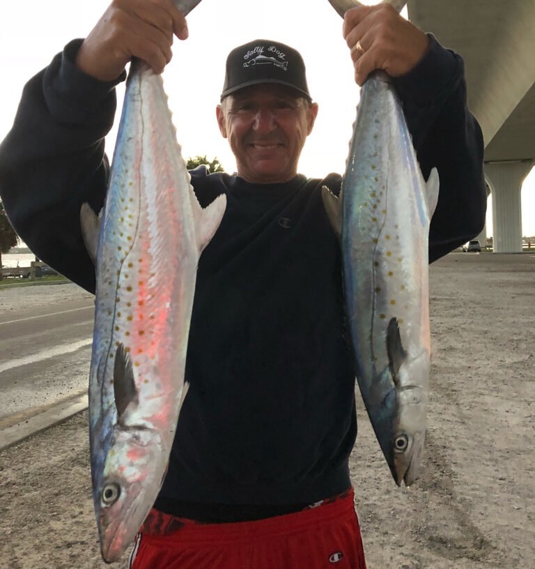 Jumbo Spanish Mackerel