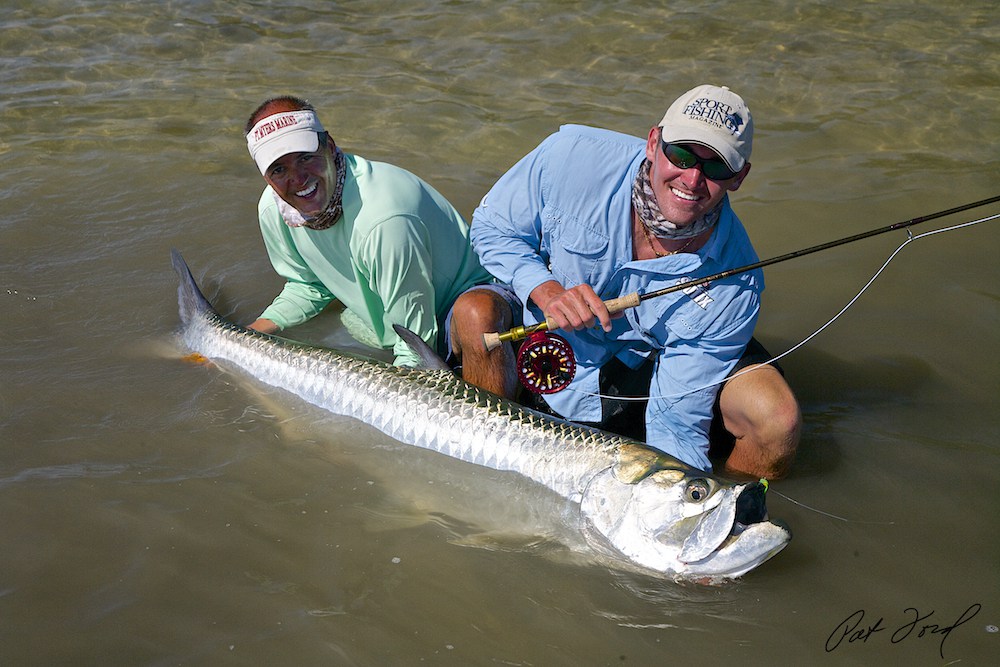 Tarpon Fishing Florida