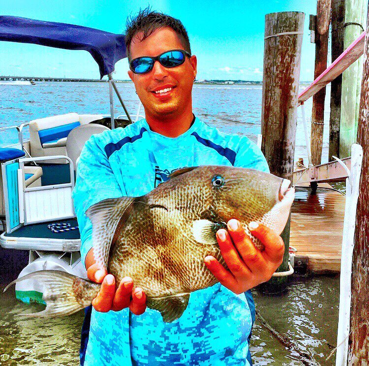 Beast triggerfish!