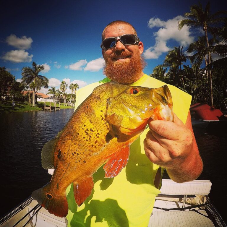 Peacock Bass or Rhino?