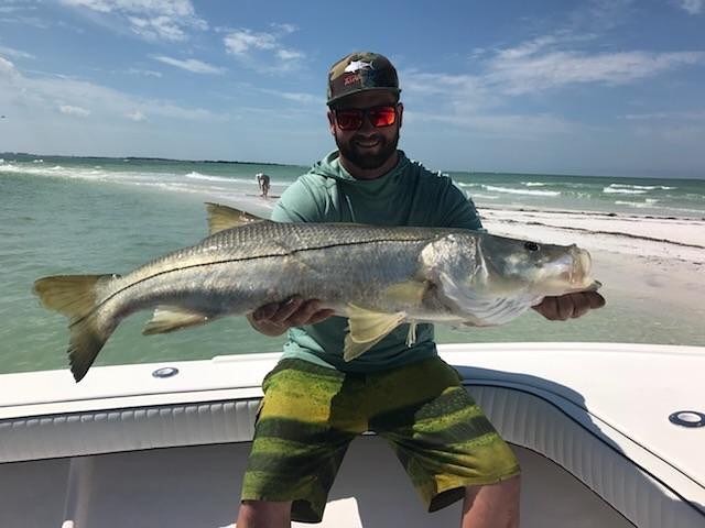 Beautiful Snook Beachside