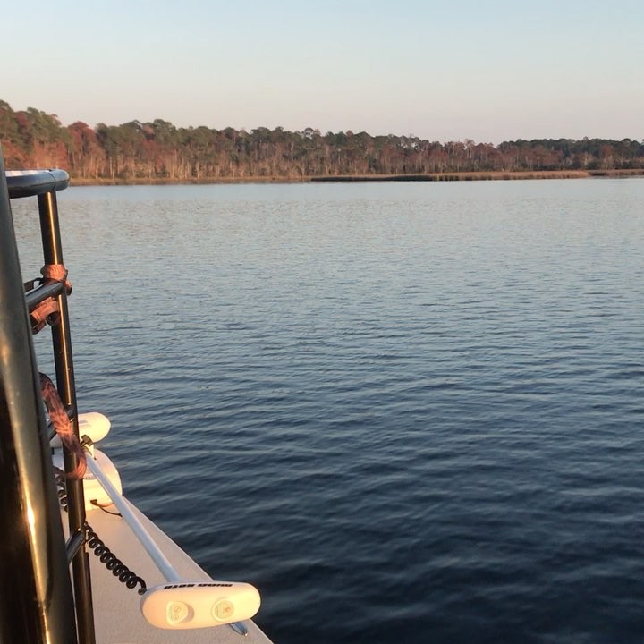 Afternoon boat rides are the best