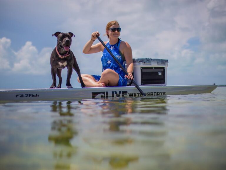 All paws on deck for the weekend.  …