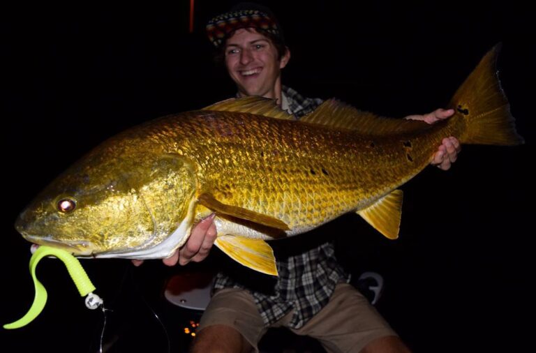 Bull Redfish at Night, Crazy Fun!