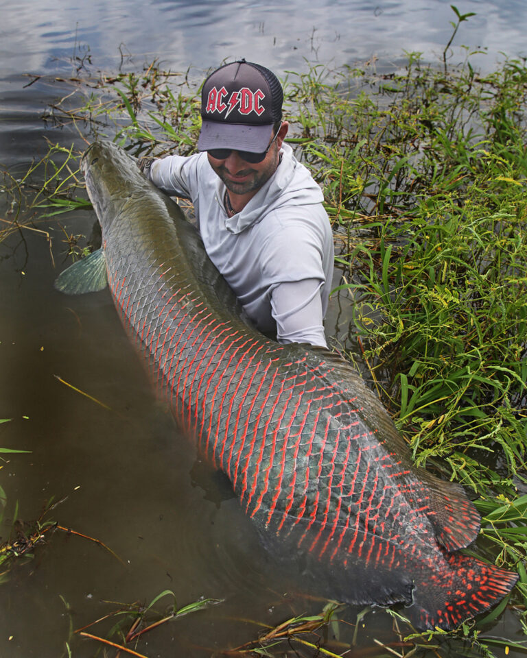 Jungle Jammin! Arapaima-Pirarucu catch