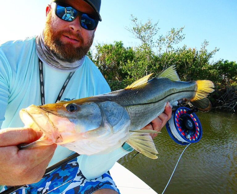 Making friends with some local snook