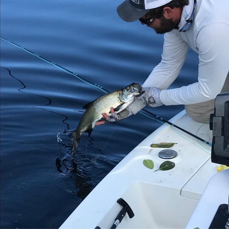 Micro Tarpon